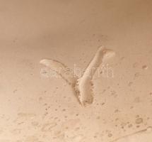 Kisfaludi Strobl Zsigmond (1884-1975): Fürdőző. Mázas kerámia, jelzett, apró mázhibákkal, m:32,5 cm