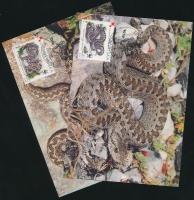 WWF Orsini's viper set 4 CM WWF Parlagi vipera sor 4 CM