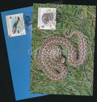 WWF Orsini's viper set 4 CM WWF Parlagi vipera sor 4 CM