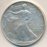 Amerikai Egyesült Államok 1993. 1$ Ag "Amerikai Sas" T:1-
USA 1993. 1 Dollar Ag "Amer...