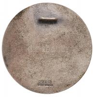 Német Birodalom DN "Augsburg" fém emlékérem "C. Poellath Schrobenhausen" gyártói...