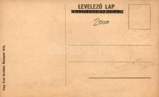 Budapest IV. Károly király koronázása, Vass Ernő felvétele