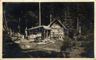 Mariazell, Waldhansl, forest cottage