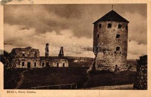 Skala-Podilska, Ruiny Zamku / castle ruins