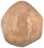 E. Tóth Ila (1918-2008) 1978. "BBMK (Balassi Bálint Megyei Könyvtár) Dunaújváros 1953-1978&quot...