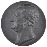 Németország DN "Goethe 1743-1832" Fe plakett (85mm) T:2 Germany ND "Goethe 1743-1832" Fe plaque (85mm) C:XF