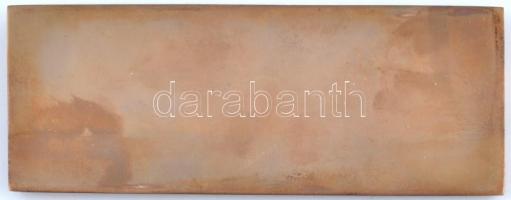 1975. "Lenin Kohászati Művek Diósgyőr" Br emlékplakett (58x148mm) T:2