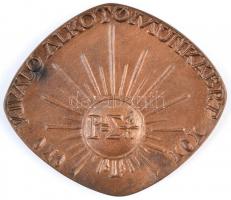 Csontos László (1925-2013) DN "Petzvál József" Br emlékplakett (82x71mm) T:2 kis szennyező...