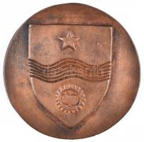 ~1980. "Mátészalkáért" Br emlékérem (80mm) T:2