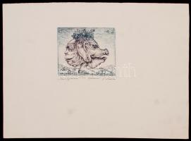 Kolozsvári G. Miklós (1950-): Janus-fej. Színezett rézkarc, papír, jelzett, 8,5×10,5 cm