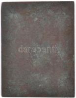 1929. "Budapesti Egyetemi Turista Egyesület I. díj Házi verseny I. osztályú lesiklás" Br d...