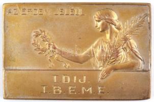 1928. "Görgey Kupa 1928. II. /N.T.E." aranyozott Br díjplakett (59x40mm) + ~1930. "Az...