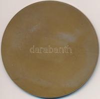 ~1970. "Balatonfüredi Városi Tanács" Br emlékérem (70mm) T:1-