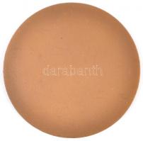 ~1970. "Lenin Kohászati Művek Diósgyőr 1770" Br emlékplakett (62mm) T:2