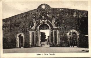 Siena, Porta Camollia / gate (wet damage)