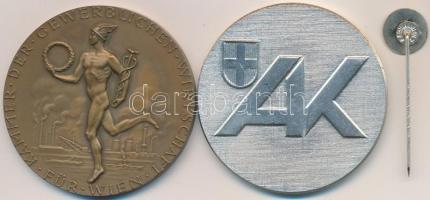 Ausztria 1984. "Bécsi Kereskedelmi Kamara / Hűséges munkáért" Br emlékérem adományozói dís...