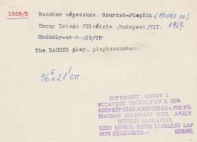 cca 1930 Szurdok-Püspöki, Bachus népszokás, pecséttel jelzett vintage fotó Kerny István (1879-1963) ...