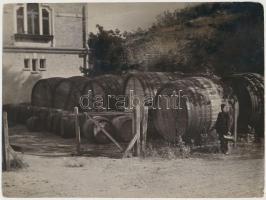 cca 1930 Kerny István (1879-1963): Óriási boroshordók Kecskemét-Helvécián, feliratozott, jelzés nélküli vintage fotó a szerző hagyatékából, 17x23 cm