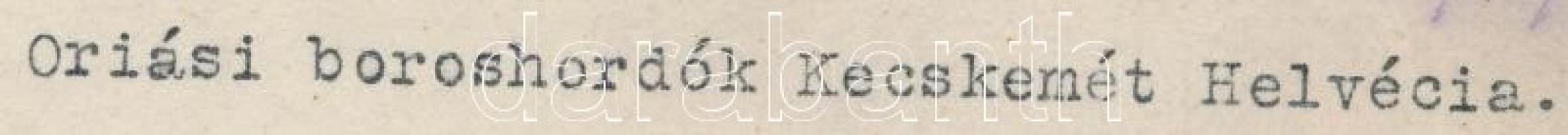 cca 1930 Kerny István (1879-1963): Óriási boroshordók Kecskemét-Helvécián, feliratozott, jelzés nélk...