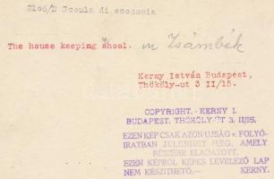cca 1930 Kerny István (1879-1963): A zsámbéki leány nevelő intézet gazdaságtan gyakorlata, pecséttel...