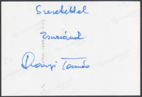 Darnyi Tamás olimpiai bajnok úszó dedikált fotója