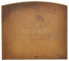 Berán Lajos (1882-1943) 1936. "Magyar Sí Szövetség / 1936. I. 18-19." Br plakett "LUD...