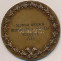 Iván István (1905-1968) DN "Városligeti Vajdahunyadvár / Olimpiai Birkózó Reménységek Tornája Budapest 1964" Br emlékérem (70mm) T:2,2- ph.