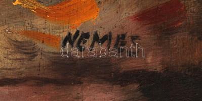 Nemes jelzéssel: Virágcsendélet. Olaj, farost, keretben, 60×45 cm