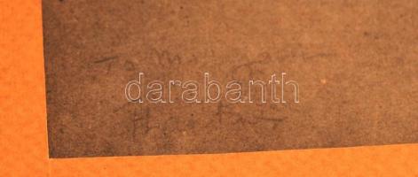 Henri Toulouse-Lautrec: Mosakodó akrt, akvarellel színezett heliogravűr, Henri Floury kiadása, Páriz...