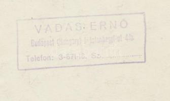 cca 1938 Vadas Ernő (1899-1962): Budapest, Városligeti tó, pecséttel jelzett városkép, 17x16,5 cm