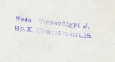 cca 1960 Tiszavölgyi József: Kislány a farkasok között, pecséttel jelzett vintage fotó, 13x18 cm