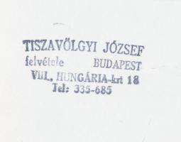 cca 1960 Tiszavölgyi József: Kalodába zárva (Hévíz), 2 db pecséttel jelzett vintage fotó, 9x13 cm