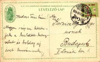 1915 Flags of the central powers, war propaganda, litho