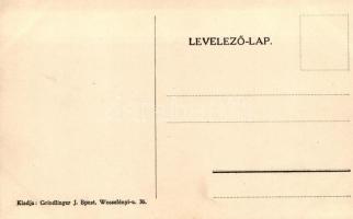 Ferenc Ferdinánd, Hochenberg Zsófia; kiadja Grindlinger J. / Erzherzog Franz Ferdinand, Sophie von H...