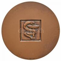 Szovjetunió 1983. "Sergej Petrovic Botkin" Br emlékérem. Szign.: A. A. Leonova (60mm) T:2
...