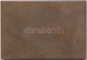 Románia 1989. "15 éves a Bukarest-New York közötti TAROM repülőjárat" Br emlékérem (43x62m...