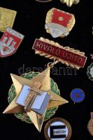 ~60db-os vegyes magyar és külföldi főleg szocialista jelvény tétel bársonylapra tűzve, közte "K...