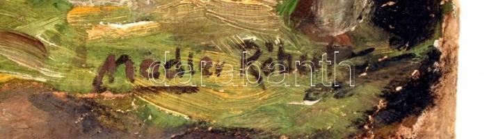 Madler jelzéssel: Ház az erdőhatáron, olaj, farost, 51,5×73 cm