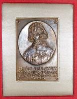 1989. "Széchenyi Ödön-Tűzoltóság megalapítója" szögletes nagyalakú Br emlékplakett T:2 Eredeti díszdobozban!