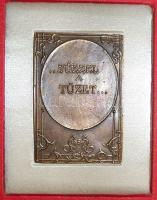 1989. "Széchenyi Ödön-Tűzoltóság megalapítója" szögletes nagyalakú Br emlékplakett T:2 Ere...