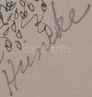 Bonnie Humke: Kastély USA zászlóval. Nyomat, papír, jelzett, paszpartuban, 24×19 cm