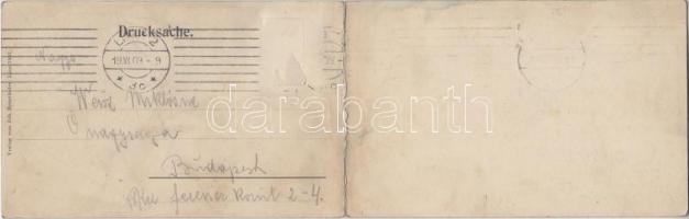 1905 Linz-Urfahr, Verlag von Johann Brunthaler,  panoramacard (fl)