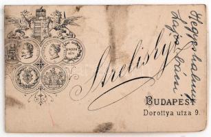 Hegyeshalmy Lajos (1862-1925): politikus, miniszter. Magy. Orsz. Bank vezértitkára, az Államvasutak ...