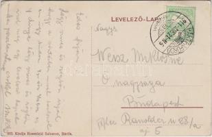 Bártfafürdő, Kőhegy-lak, villák; kiadja Rosenfeld Salamon / villas (EK)