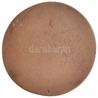 Englert Judit (1949-) DN "Petőfi Sándor" Br emlékplakett (70,5mm) T:2