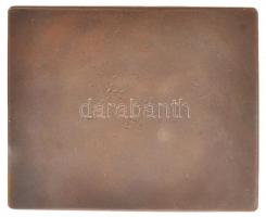 Yrjö Liipola (1881-1971) 1910. "Maywald Józsefnek hálás tanítványai" Br plakett (59x48mm) ...