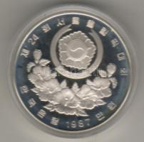 Dél-Korea 1987. 10.000W/1oz "Olimpia-Szöul" Ag T:PP