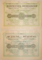 Románia 1923. Arad-Mezőgazdák Kereskedelmi Részvénytársaság 300L + 300L részvénye magyar és román nyelven