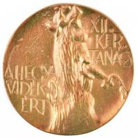 1976. "A hegyvidékért - XII. Kerületi Tanács / 1976." Br emlékérem (85mm) T:2,2-