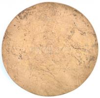 Farkas Pál (1947-) DN "30 éves a Tolna Megyei Véradó Mozgalom" Br plakett (90mm) T:2